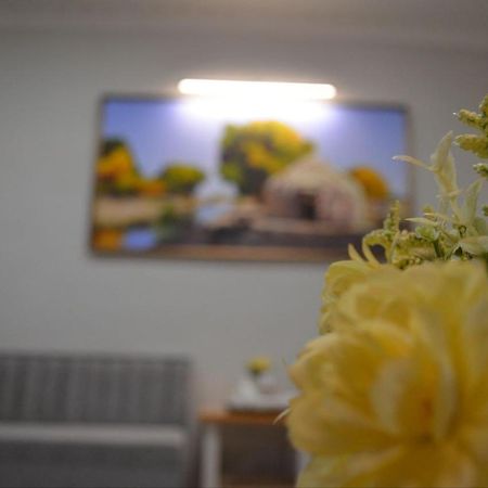 Hostel Danexan Apa Nukus Exteriör bild